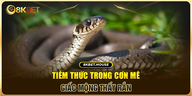 Tiềm thức trong cơn mê - Giấc mộng thấy rắn