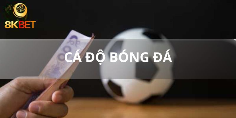 Các tiêu chí trước khi tham gia cá độ bóng đá